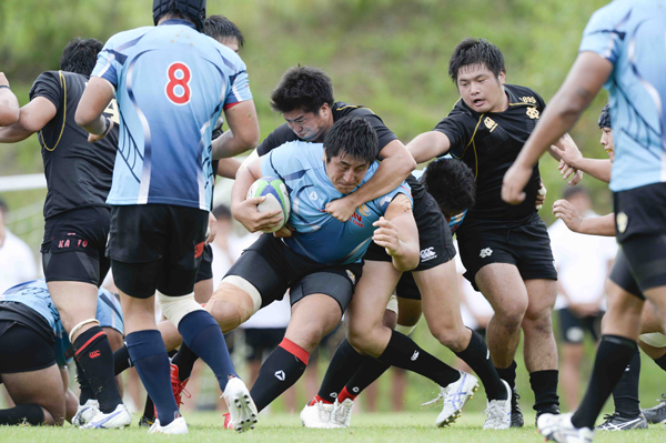 東京公式通販 本物 慶応義塾大学 ラグビー ジャージ nishiedenim.jp